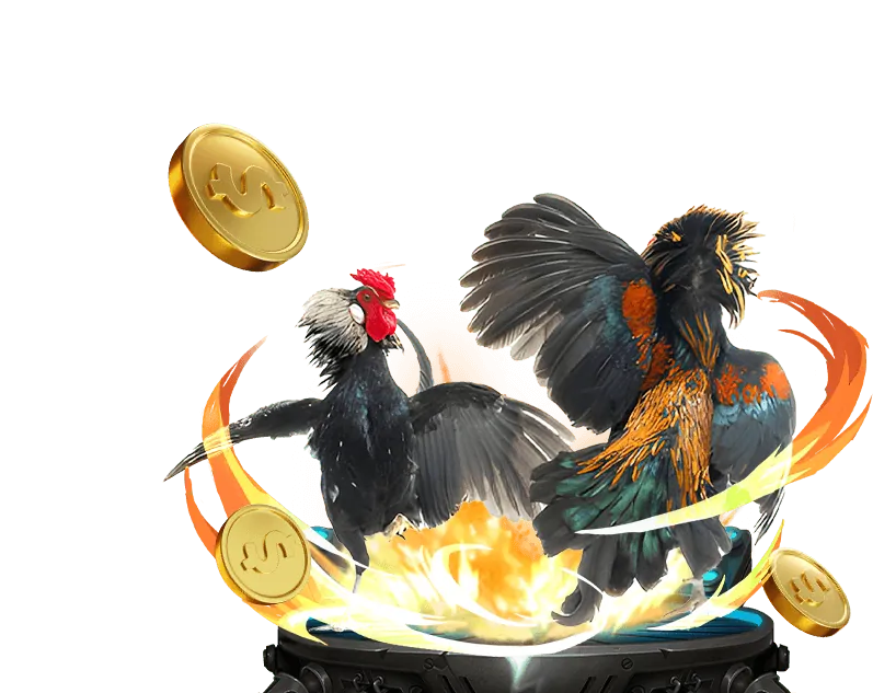 Khuyến mãi đá gà trực tuyến